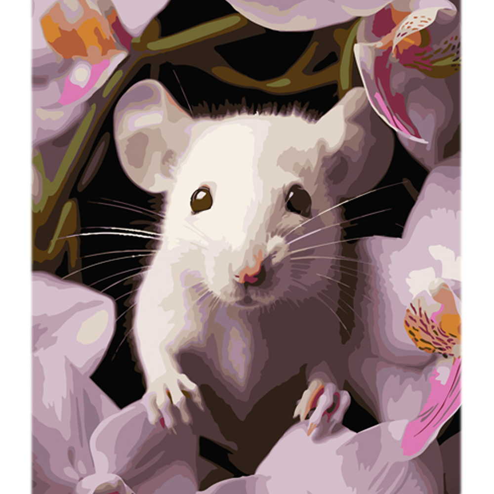 Фото, Відеоогляди картина за номерами strateg мишеня з орхідеєю на кольоровому фоні розміром 40х50 см (mz029)