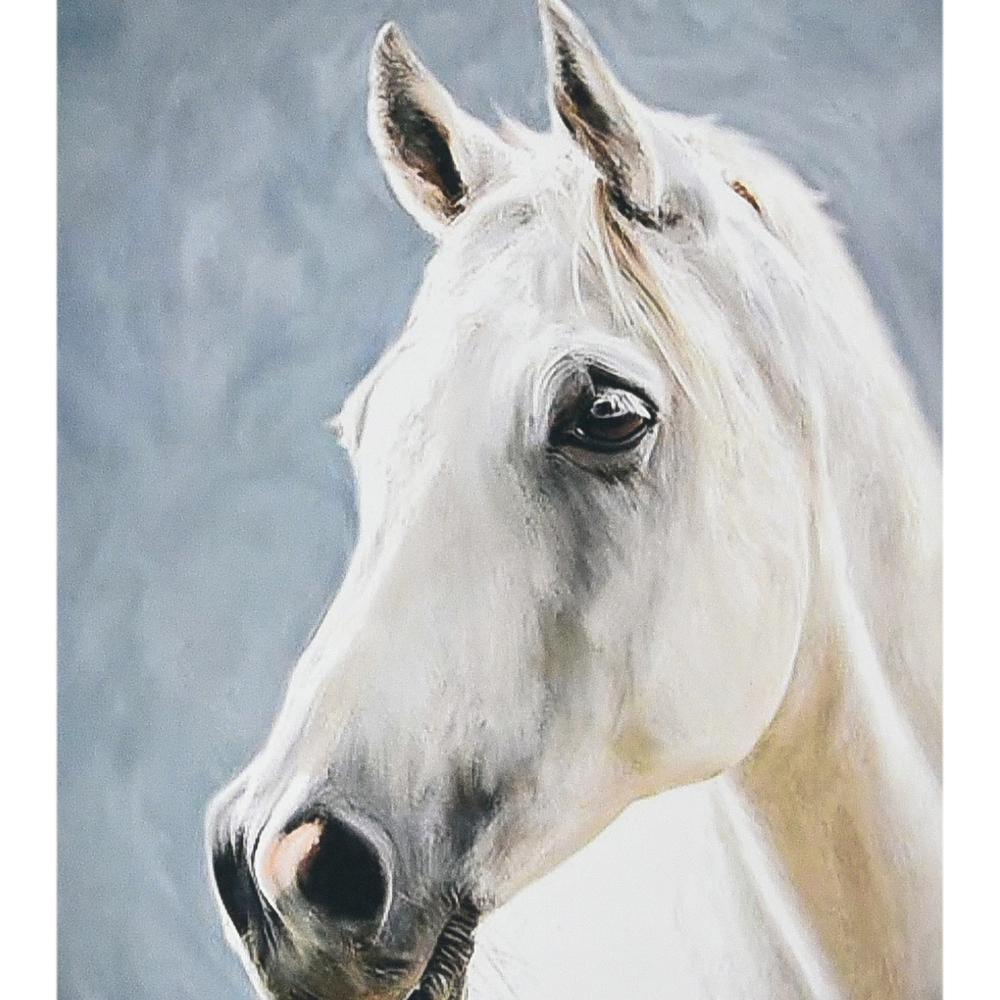 Фото, Видеообзоры алмазна мозаїка strateg преміум сила природи розміром 40х50 см (sk88246)