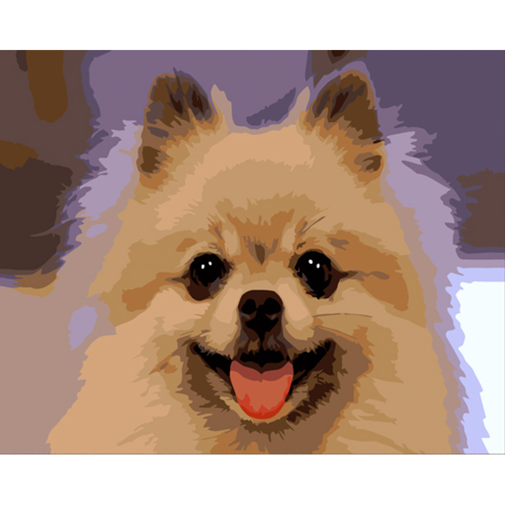 Фото, Відеоогляди картина за номерами strateg преміум портрет шпіца з лаком розміром 30х40 см (ss6801)