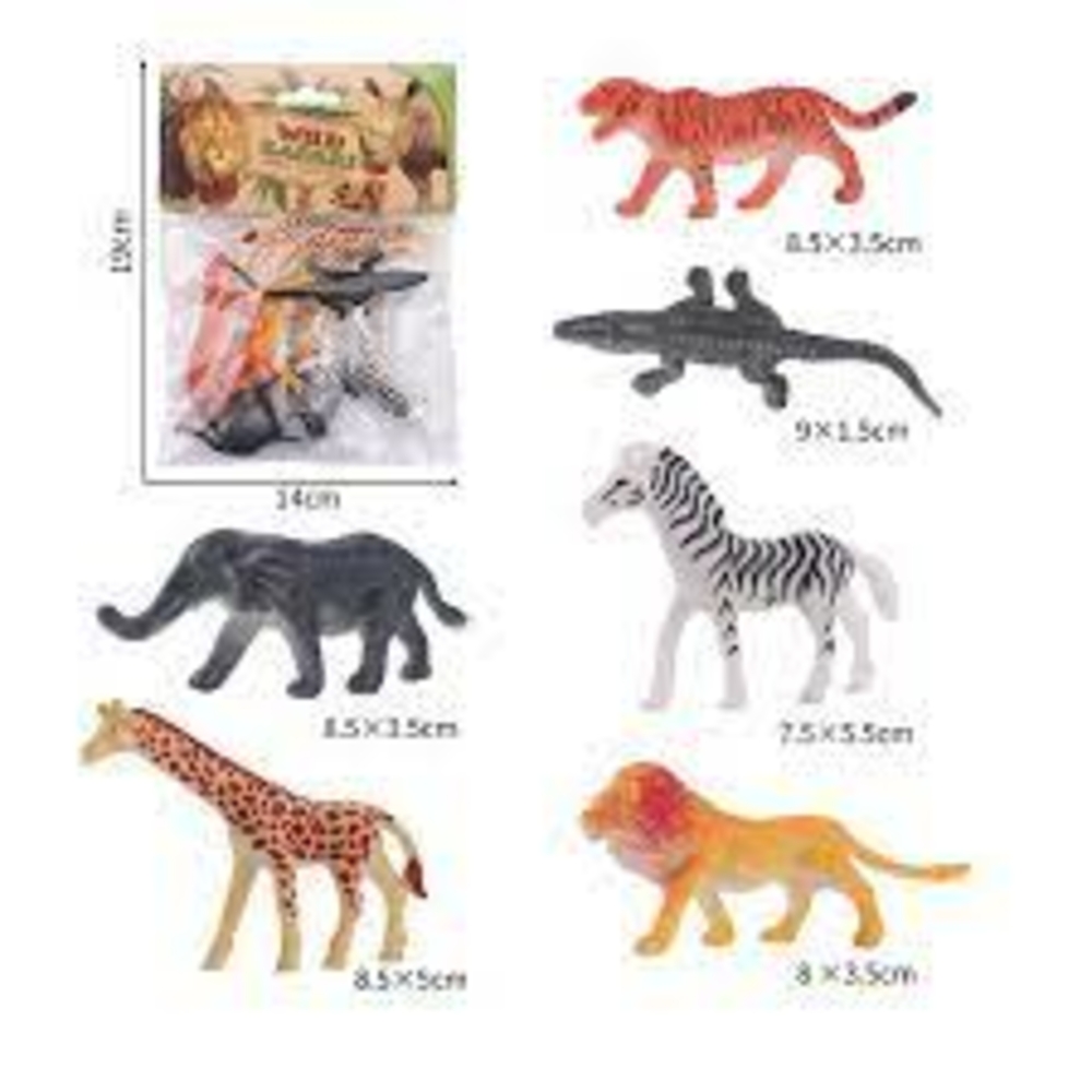 Фото, Відеоогляди 