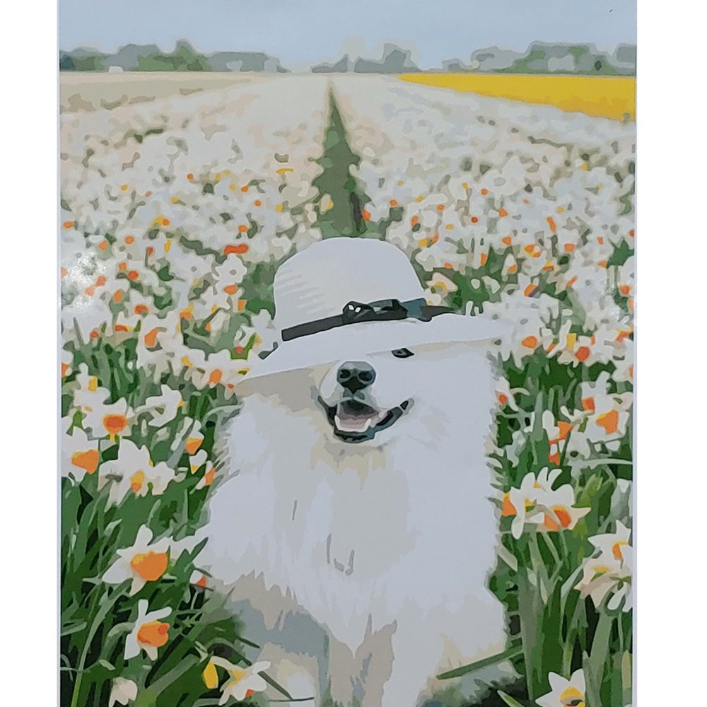 Фото, Відеоогляди картина за номерами strateg преміум самоїд серед нарцисів з лаком розміром 40х50 см (sy6833)