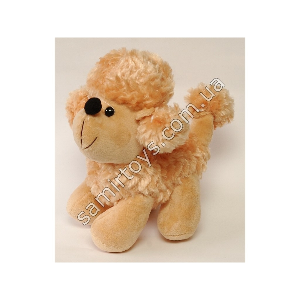 Фото, Видеообзоры 