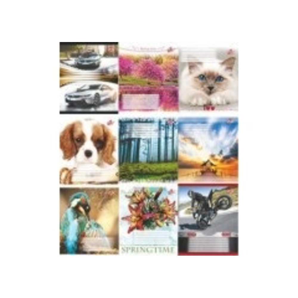 Фото, Відеоогляди 