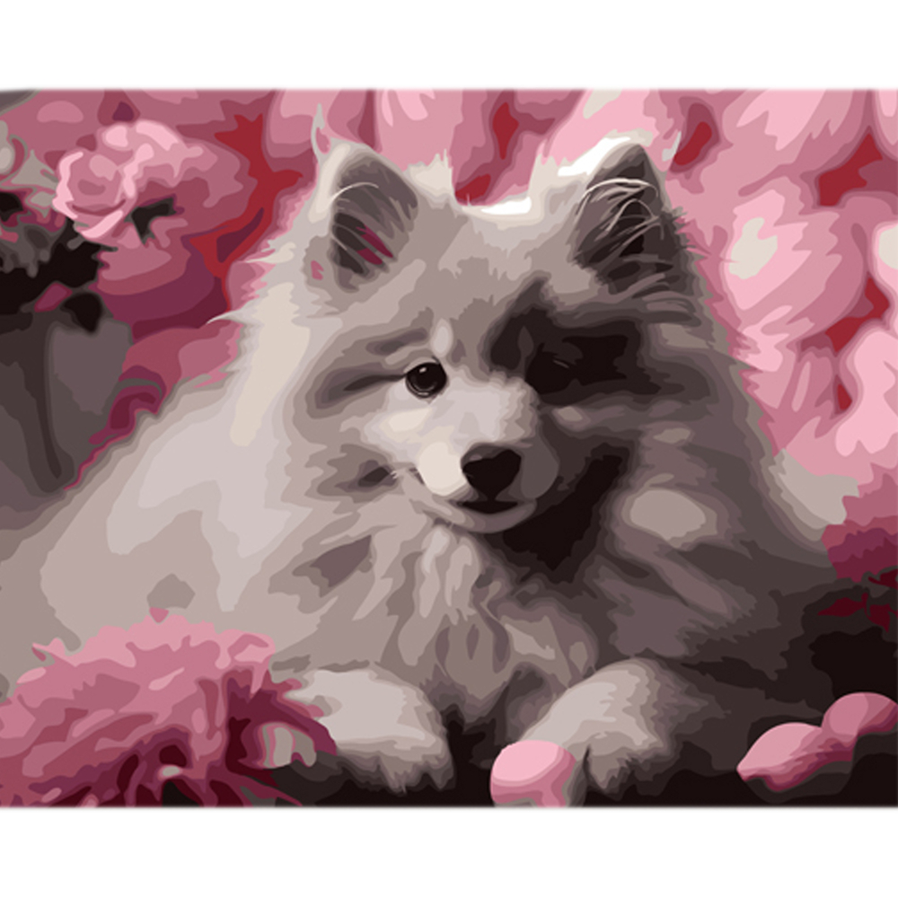 Фото, Відеоогляди картина за номерами strateg шпіц на тлі рожевих відтінків на кольоровому фоні розміром 40х50 см (mz022)