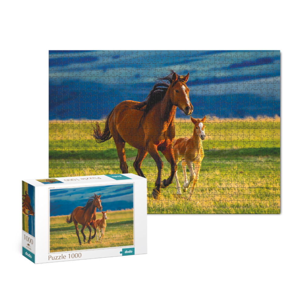 Фото, Видеообзоры пазл dodo виховання маленького лошати