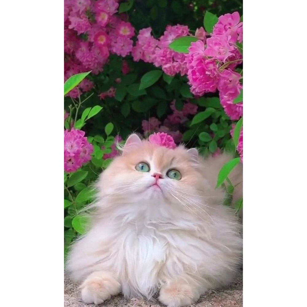 Фото, Відеоогляди алмазна мозаїка strateg преміум квітковий друг розміром 30х40 см (heg87036)