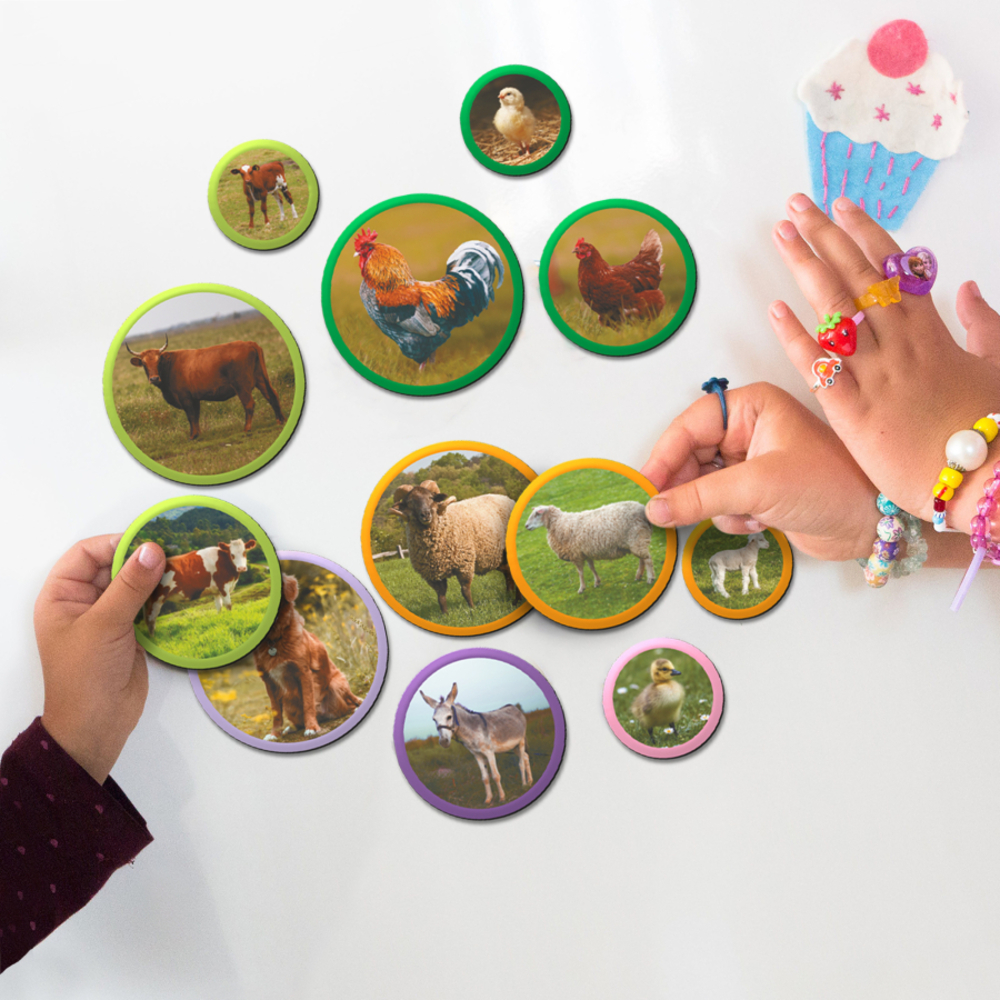 Фото, Видеообзоры набір магнітів dodo монтессорі родини тварин ферма