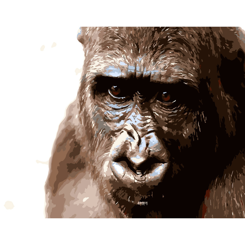 Фото, Відеоогляди картина за номерами strateg преміум кінг-конг розміром 40х50 см (dy085)