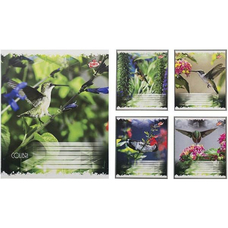 Зошит 12 л лінія 