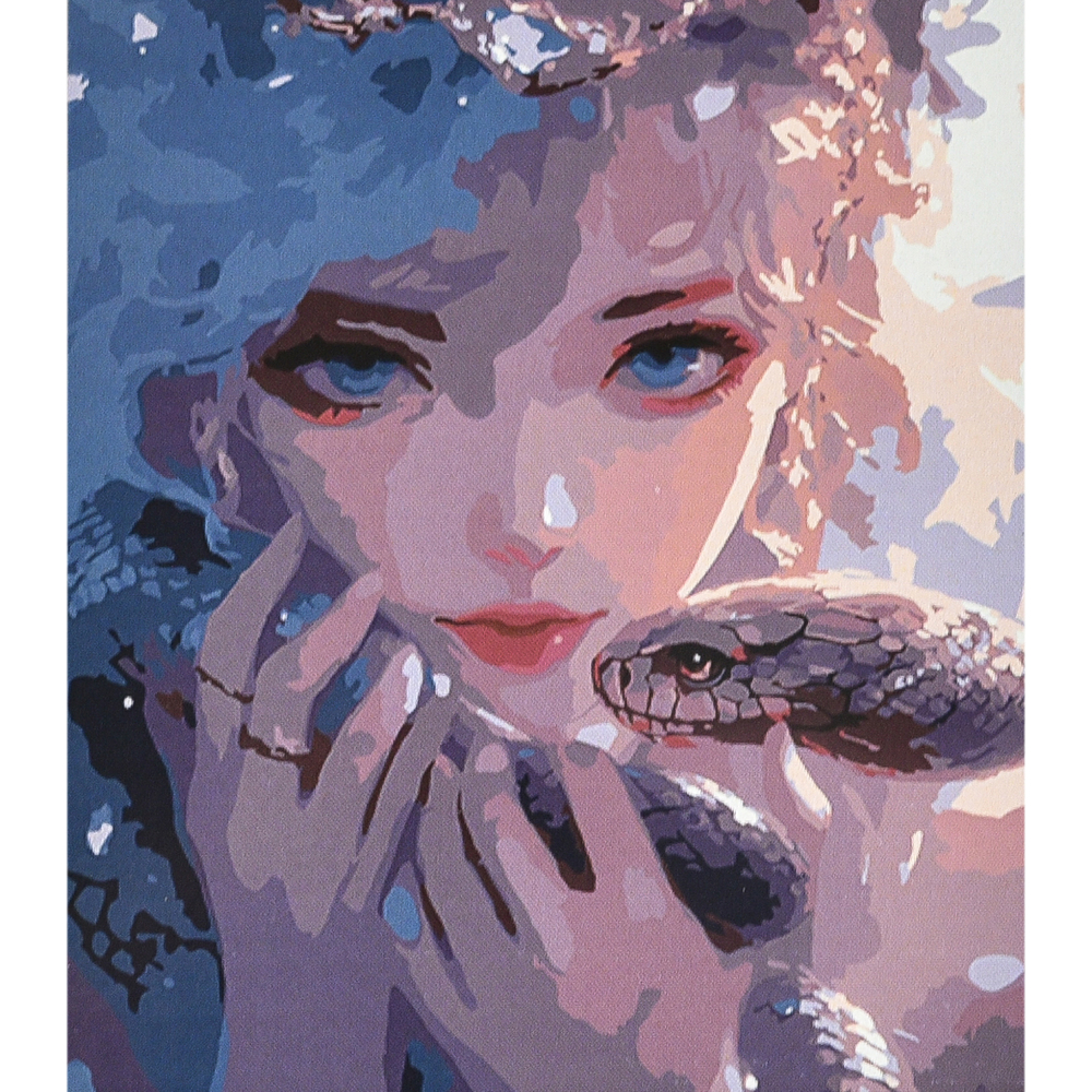 Фото, Видеообзоры картина за номерами strateg преміум магія і небезпека з лаком та рівнем розміром 40х50 см (va-4625)