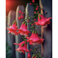 Алмазна мозаїка Strateg ПРЕМІУМ Квіти фуксії розміром 40х50 см (SK85985) Алмазна мозаїка Strateg ПРЕМІУМ Квіти фуксії розміром 40х50 см (SK85985)