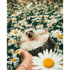 Картина за номерами Strateg ПРЕМІУМ Веселий їжачок з лаком розміром 40х50 см VA-2950