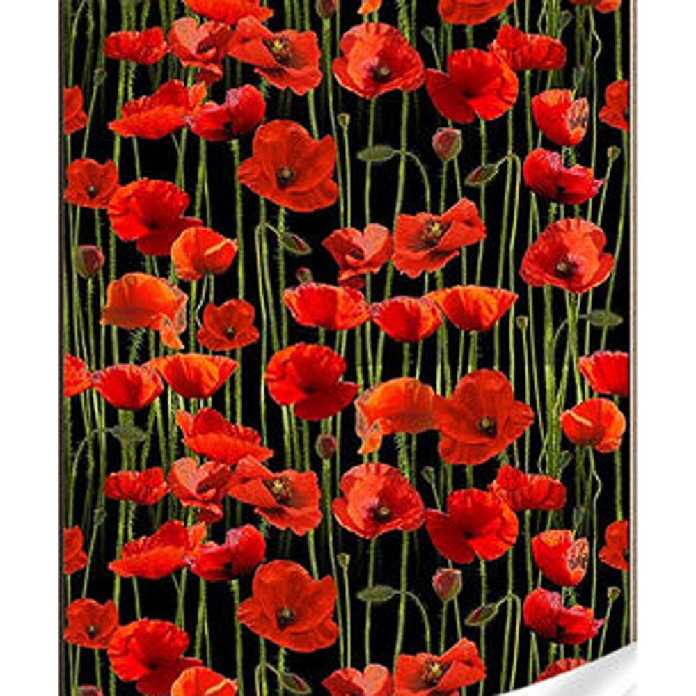 Фото, Видеообзоры алмазна мозаїка strateg преміум маки на чорному фоні розміром 30х40 см (heg86881)