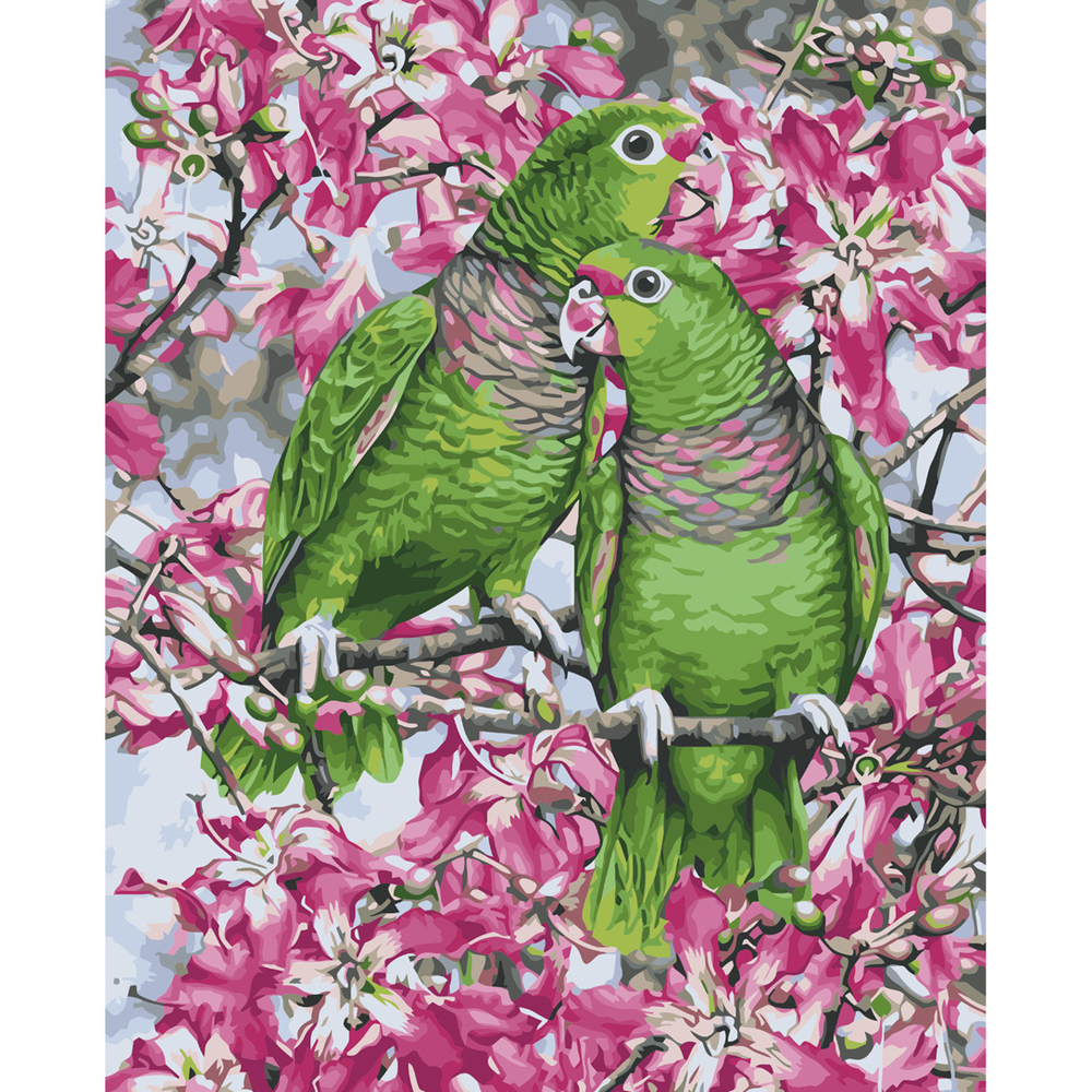 Фото, Відеоогляди картина за номерами strateg преміум зелені папуги з лаком розміром 40х50 см va-3665