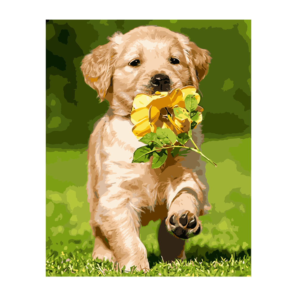 Фото, Відеоогляди картина за номерами strateg преміум маленький лабрадор з лаком розміром 40х50 см va-2856