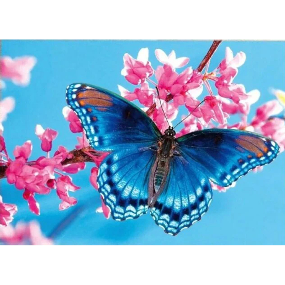 Фото, Видеообзоры алмазна мозаїка strateg преміум крилатий гість розміром 30х40 см (heg87075)