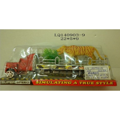 Фото, Відеоогляди 