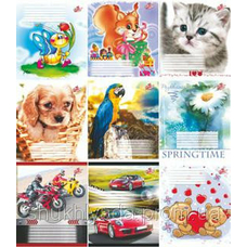 Зошит 12 л клітинка 