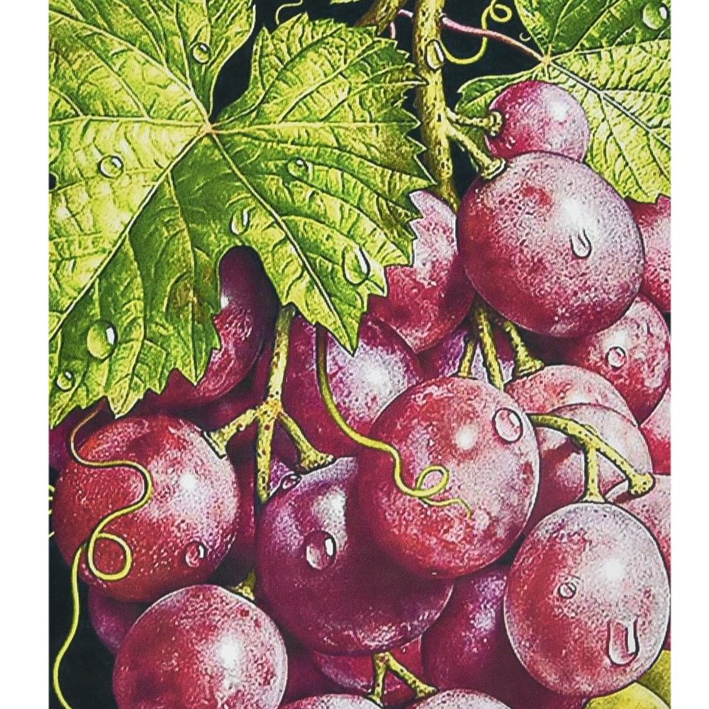 Фото, Видеообзоры алмазна мозаїка strateg преміум грона багатства розміром 30х40 см (heg87076)