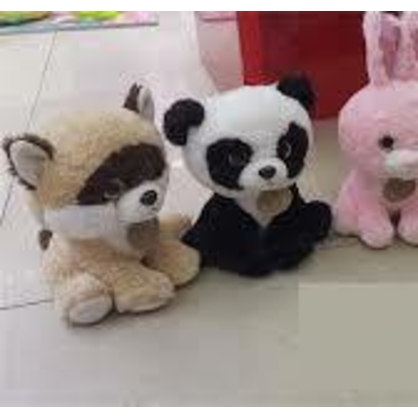 Фото, Відеоогляди 