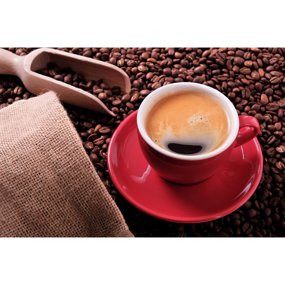 Алмазна мозаїка Strateg ПРЕМІУМ Кавове натхнення розміром 30х40 см (HEG87055)