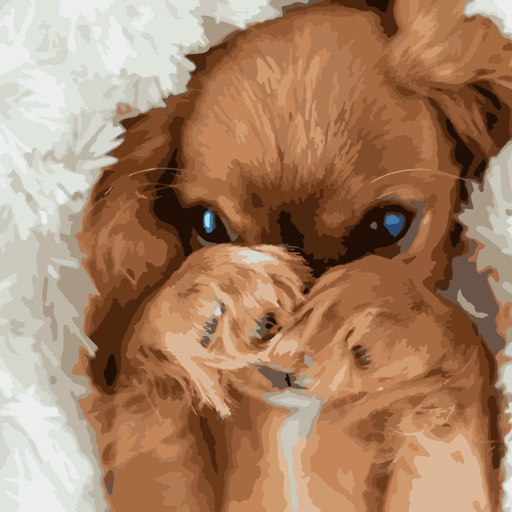 Фото, Видеообзоры картина за номерами strateg преміум скромний песик розміром 40х40 см (sk049)