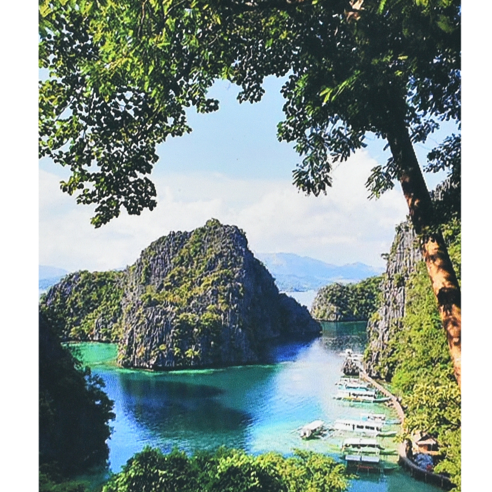 Фото, Відеоогляди алмазна мозаїка strateg преміум зелений оазис розміром 40х50 см (sk88267)