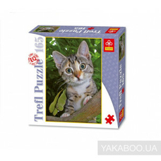 Пазли 