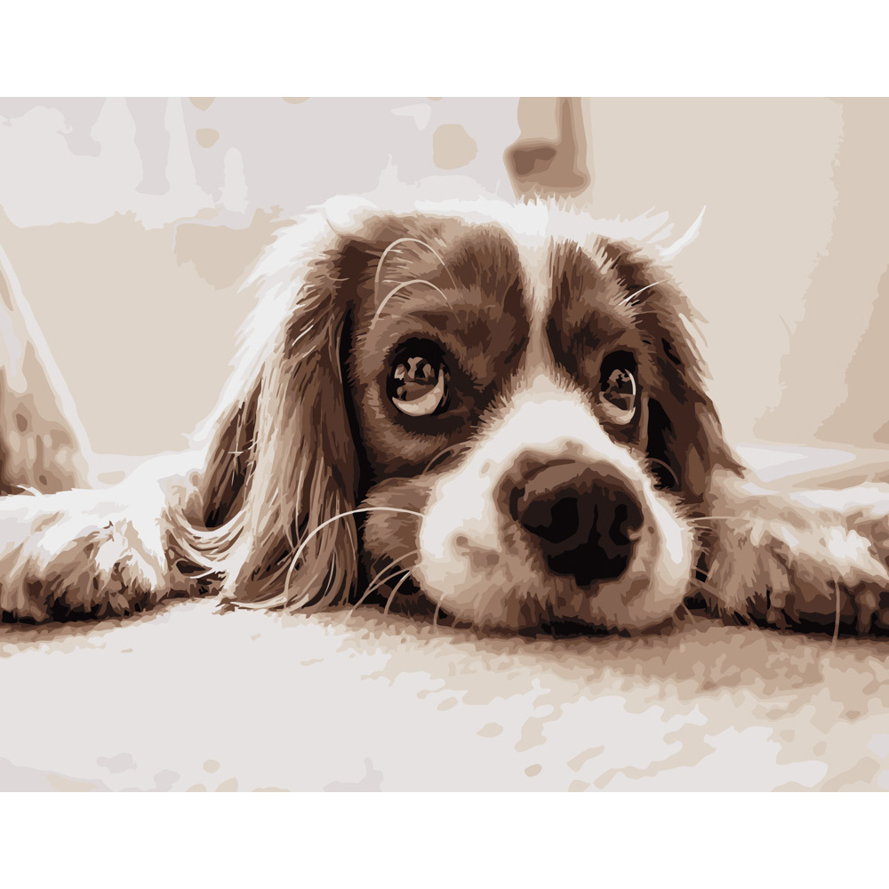 Фото, Видеообзоры картина за номерами strateg преміум мрійливий спаніель розміром 40х50 см (dy086)