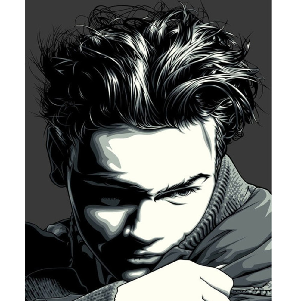 Фото, Відеоогляди картина за номерами strateg преміум river phoenix розміром 40х50 см (dy292)