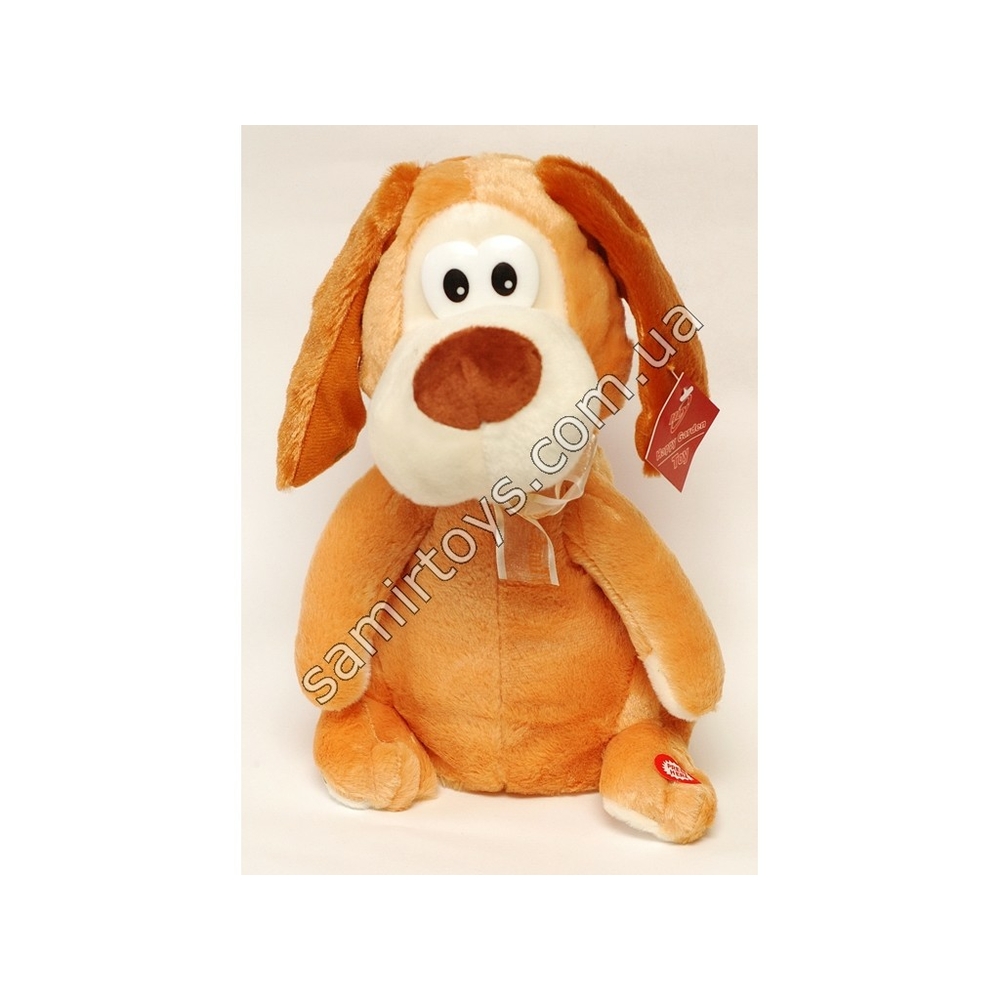 Фото, Видеообзоры 