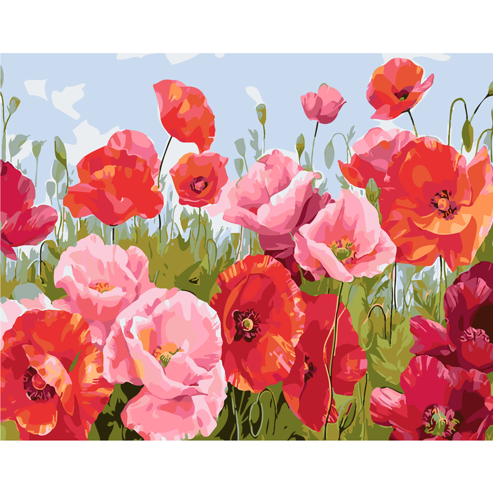 Фото, Видеообзоры картина за номерами strateg преміум поле маків з лаком розміром 40х50 см sy6051