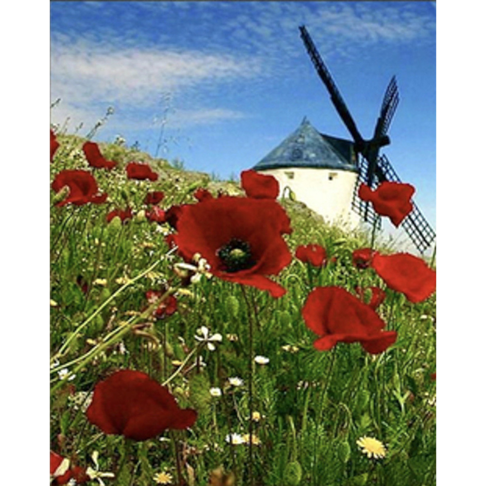 Фото, Видеообзоры алмазна мозаїка strateg преміум млин розміром 30х40 см (heg86061)