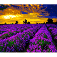 Картина за номерами Strateg ПРЕМІУМ Лавандові поля з лаком розміром 40х50 см (SY6619)
