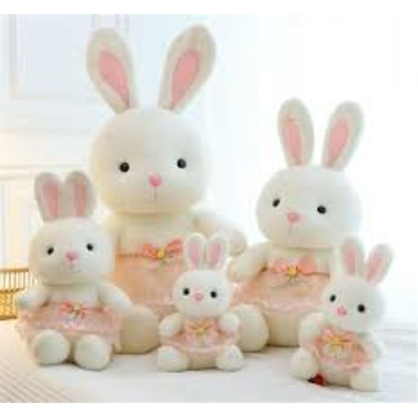 Фото, Видеообзоры 