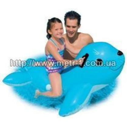 Фото, Відеоогляди 