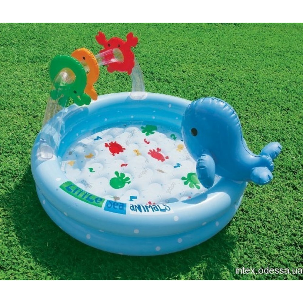 Фото, Видеообзоры 