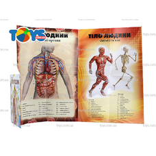 Енциклопедія.Тіло людини (Талант)