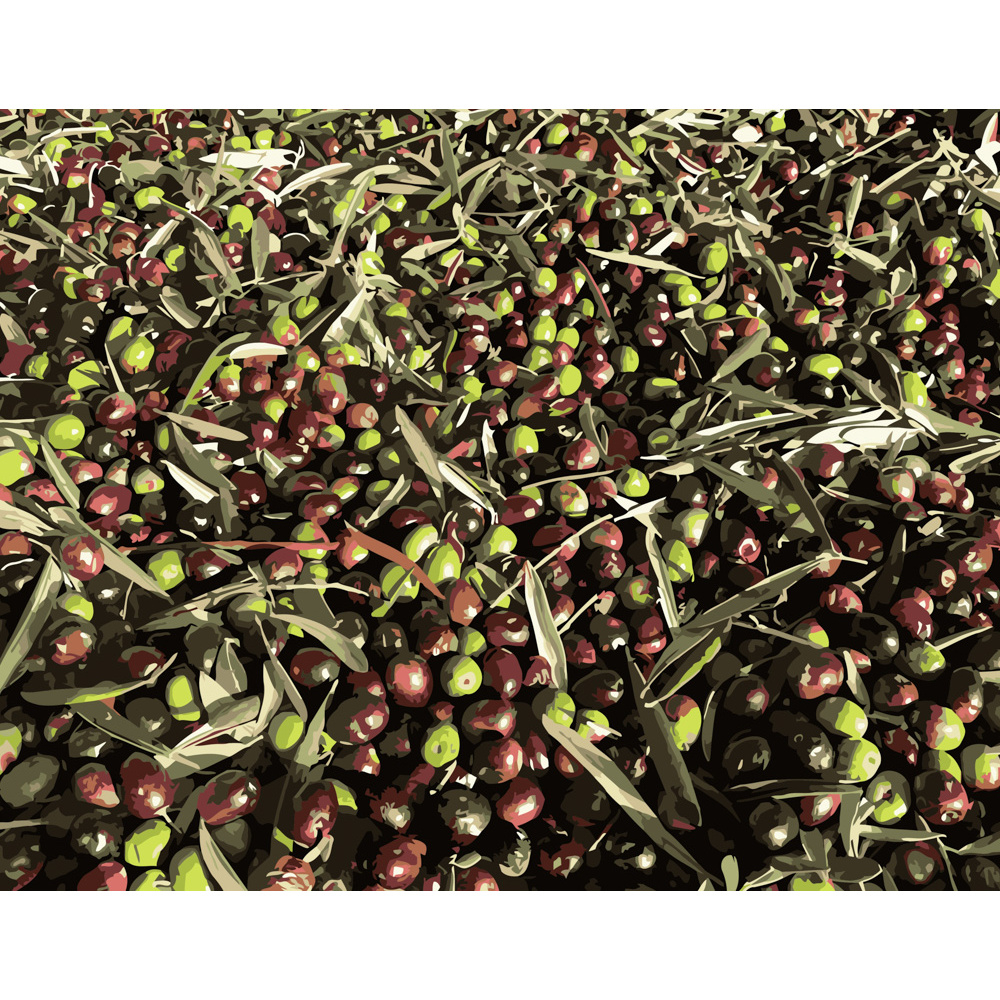 Фото, Відеоогляди картина за номерами strateg преміум соковитий кизил розміром 40х50 см (dy123)