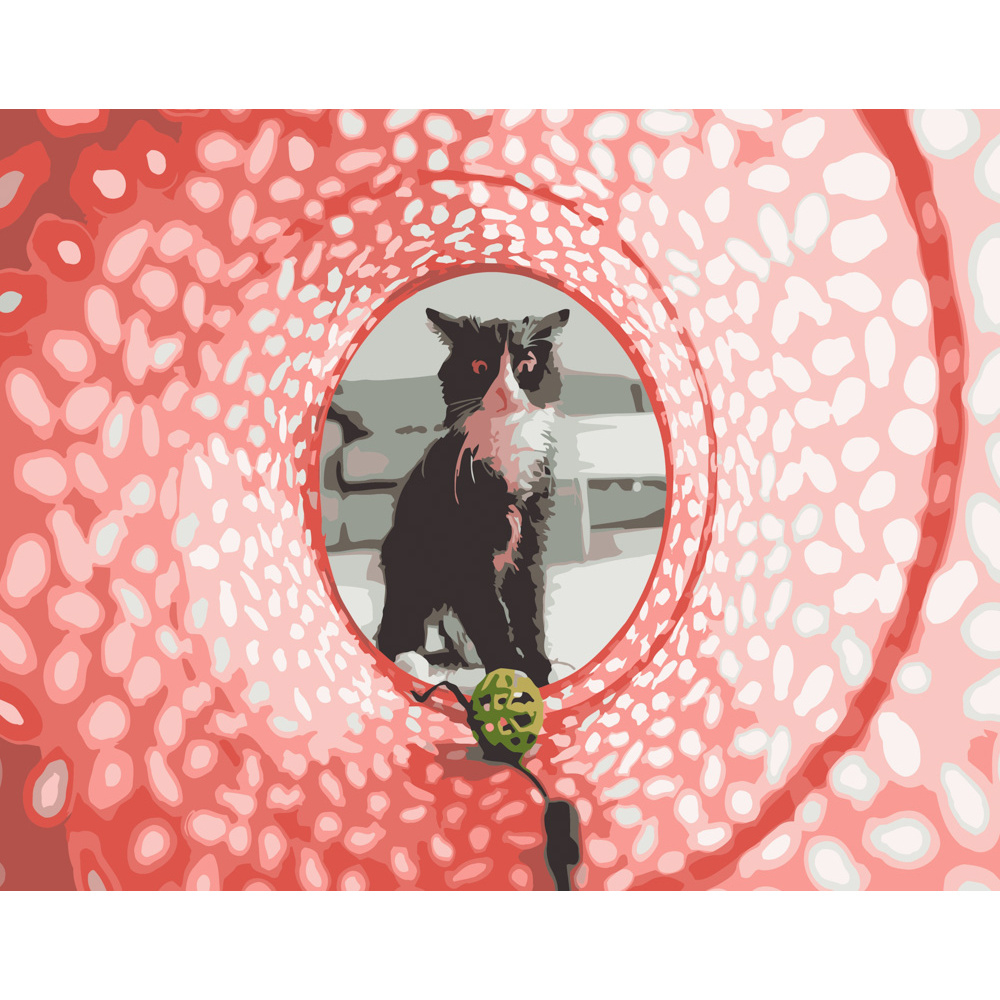 Фото, Відеоогляди картина за номерами strateg преміум котик у тунелі розміром 40х50 см (dy092)