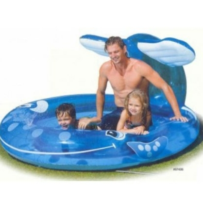 Фото, Видеообзоры 