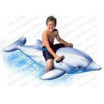 Фото, Відеоогляди 