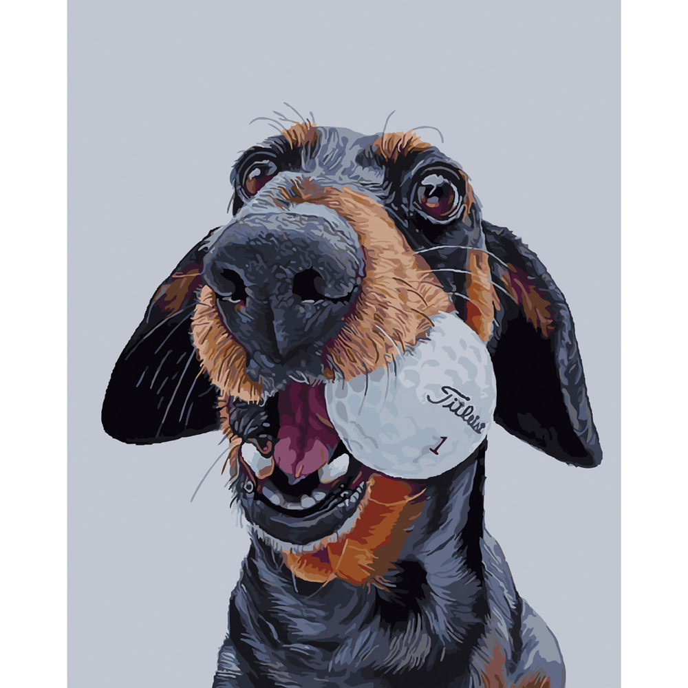 Фото, Відеоогляди картина за номерами strateg преміум пес-бейсболіст з лаком розміром 40х50 см sy6127