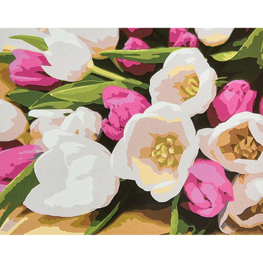 Фото, Відеоогляди картина за номерами strateg преміум ніжність весни з лаком та рівнем розміром 40х50 см (va-4677)