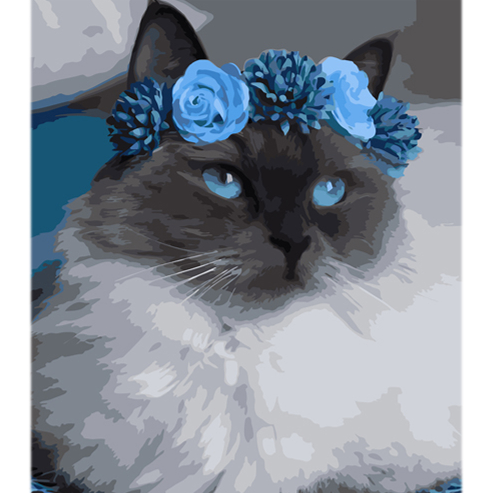 Фото, Видеообзоры картина за номерами strateg котик у блакитному віночку на кольоровому фоні розміром 40х50 см (mz002)