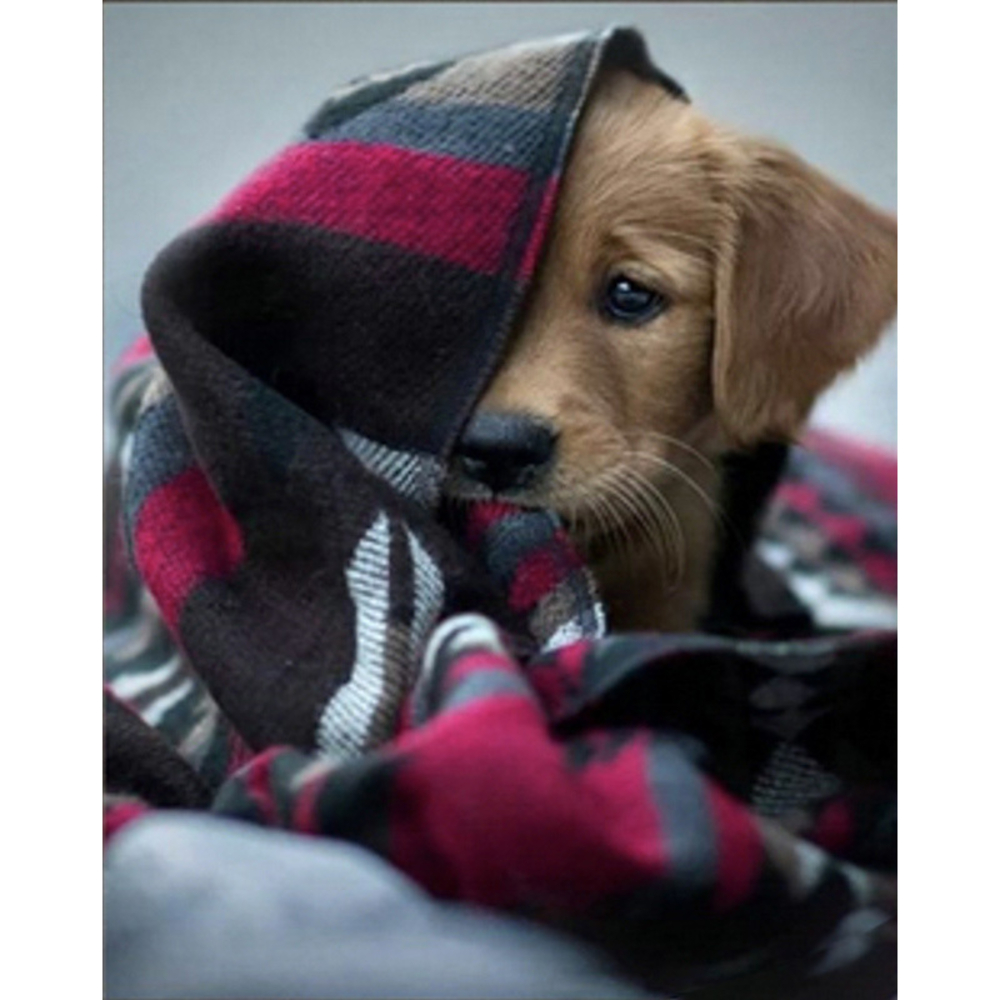 Фото, Видеообзоры алмазна мозаїка strateg преміум песик під ковдрою розміром 30х40 см (heg86037)