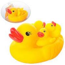 Пискавка 668-9 (288/2) качка з каченятами, в сітці