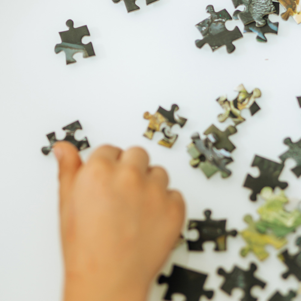 Фото, Видеообзоры пазл dodo transformers windblade