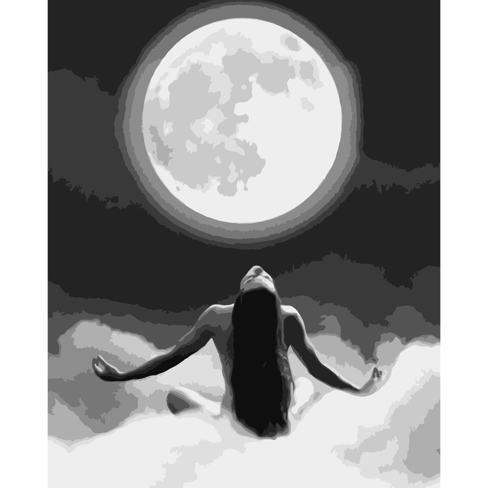 Фото, Відеоогляди картина за номерами strateg преміум тіло в променях місяця з лаком розміром 40х50 см va-3730