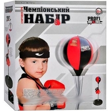 Боксерський набір 